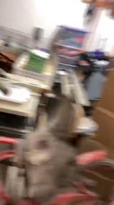 iglivebf_001_1750.jpeg