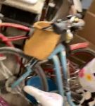 Filename=iglivebf_001_1746.jpeg
Filesize=47KiB
Dimensions=608x1088
Date added=Feb 11, 2021 iglivebf_001_1746.jpeg