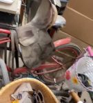 Filename=iglivebf_001_1754.jpeg
Filesize=51KiB
Dimensions=608x1088
Date added=Feb 11, 2021 iglivebf_001_1754.jpeg