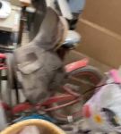 Filename=iglivebf_001_1756.jpeg
Filesize=40KiB
Dimensions=608x1088
Date added=Feb 11, 2021 iglivebf_001_1756.jpeg