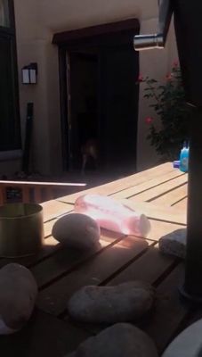 ig_000_0355.jpeg