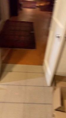 bfigl_001_0259.jpeg
