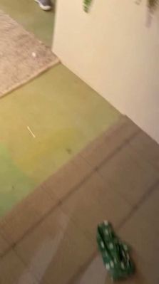 bfigl_001_0285.jpeg