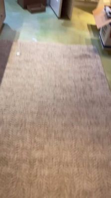bfigl_001_0289.jpeg