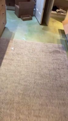 bfigl_001_0290.jpeg