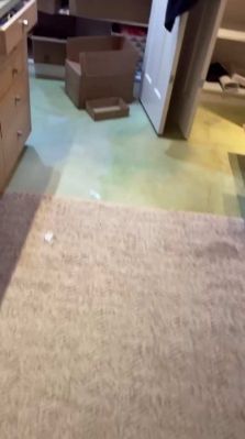 bfigl_001_0291.jpeg