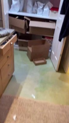 bfigl_001_0293.jpeg