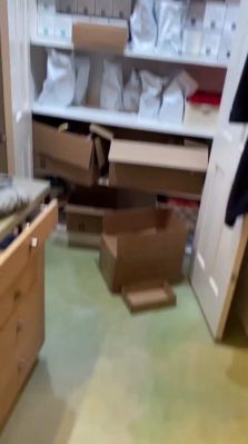 bfigl_001_0294.jpeg