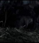 13e_03_0000799.jpeg