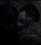 13e_03_0000801.jpeg
