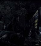 13e_03_0000804.jpeg