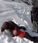 mofiq_01_0003377.jpeg