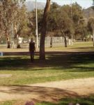 at_02_0000246.jpeg