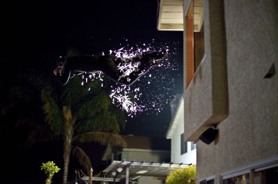 AT_04.jpg