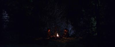 dotw_01_1882.jpeg