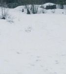 dotw_01_0447.jpeg