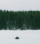 dotw_01_0769.jpeg