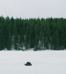 dotw_01_0771.jpeg