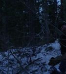 dotw_01_0878.jpeg