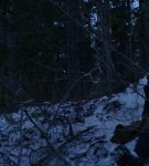 dotw_01_0879.jpeg