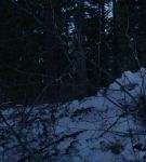 dotw_01_0908.jpeg