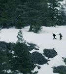 dotw_01_1375.jpeg
