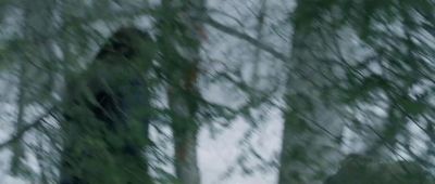 Click to view full size image
==============
dotwtt_01_0404.jpeg dotwtt_01_0404.jpeg