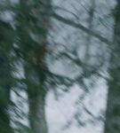 dotwtt_01_0404.jpeg
