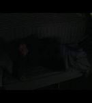st_01_0000059.jpeg