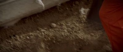 Click to view full size image
==============
tclbf_002_0142.jpeg tclbf_002_0142.jpeg