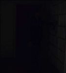 BWAN_006_0324.jpeg
