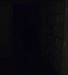 BWAN_006_0328.jpeg