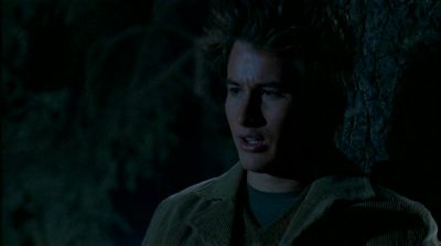 intothewoods-553.jpg