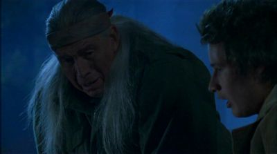 intothewoods-559.jpg