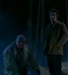 intothewoods-540.jpg