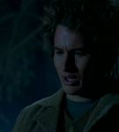 intothewoods-551.jpg
