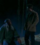 intothewoods-554.jpg