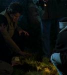 intothewoods-592.jpg
