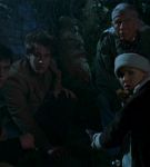 intothewoods-601.jpg
