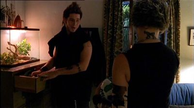 dupes-320.jpg