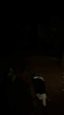 BFCBTS_002_0662.jpeg