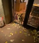 Filename=BFCBTS_002_0672.jpeg
Filesize=32KiB
Dimensions=608x1088
Date added=Nov 17, 2020 BFCBTS_002_0672.jpeg