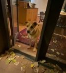 Filename=BFCBTS_002_0676.jpeg
Filesize=36KiB
Dimensions=608x1088
Date added=Nov 17, 2020 BFCBTS_002_0676.jpeg