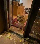 Filename=BFCBTS_002_0677.jpeg
Filesize=36KiB
Dimensions=608x1088
Date added=Nov 17, 2020 BFCBTS_002_0677.jpeg