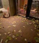 Filename=BFCBTS_002_0684.jpeg
Filesize=33KiB
Dimensions=608x1088
Date added=Nov 17, 2020 BFCBTS_002_0684.jpeg