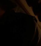 BFCBTS_002_1368.jpeg